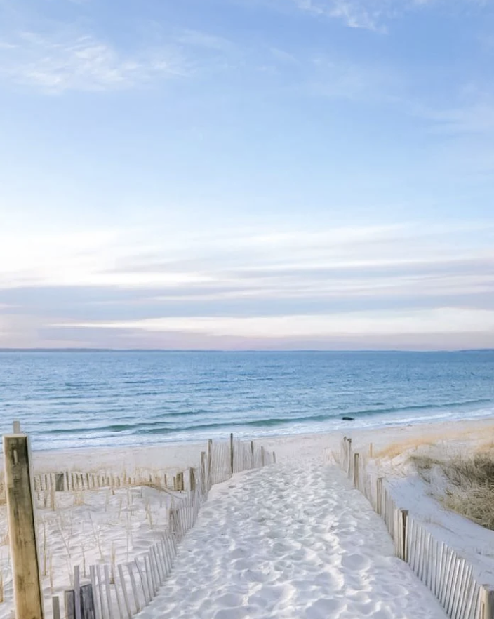 Serene beach path leading to the Gulf of Mexico